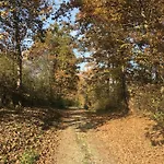 Frühstückspension Cascina Dei Levrieri