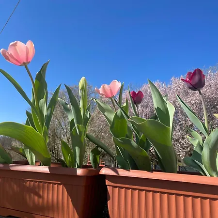 לינה וארוחת בוקר Cascina Dei Levrieri Capriglio