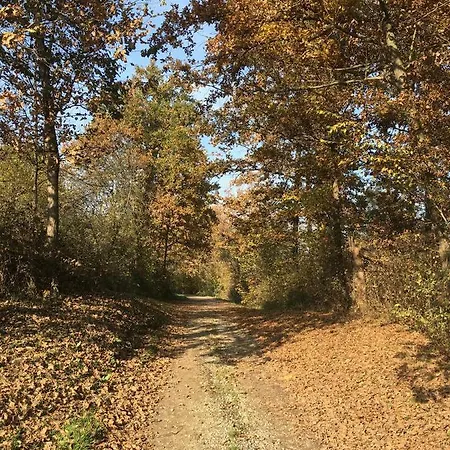 לינה וארוחת בוקר Cascina Dei Levrieri
