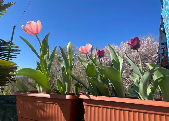 Bed & Breakfast Cascina Dei Levrieri Capriglio