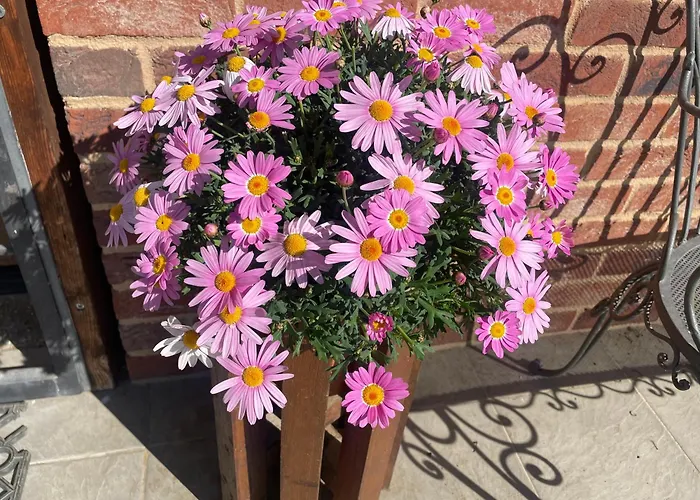 Bed & Breakfast Cascina Dei Levrieri 4*