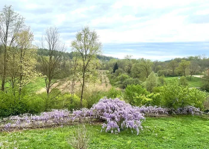 Cascina Dei Levrieri Bed & Breakfast Capriglio